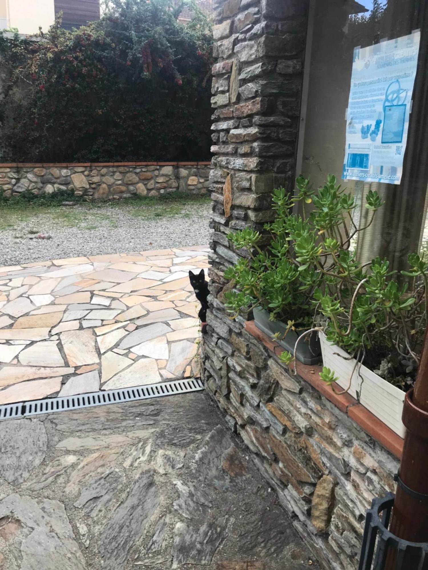 Hebergements A La Rive: Accueil Chaleureux et Paiement Flexible Amelie-les-Bains-Palalda Exterior photo